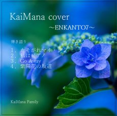画像1: カイマナふぁみりー　リオの弾き語りメインのカバー曲集　"ENKANTO 7" CD-R  「たそがれマイ・ラブ」「私はピアノ」「Go Away」「紫陽花の坂道」 (1)